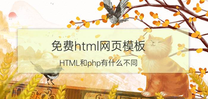 免费html网页模板 HTML和php有什么不同？